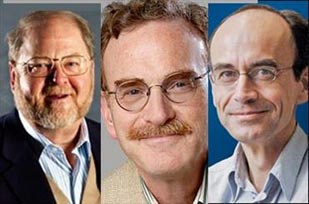 برندگان جایزه نوبل پزشکی 2013 معرفی شدند