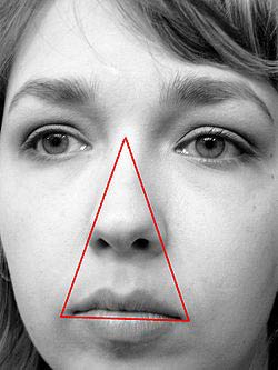 The danger triangle consists of the area from the corners of the mouth to the bridge of the nose