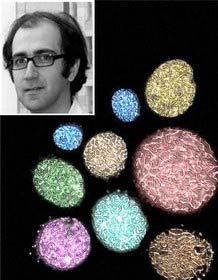کشف پشتیبان قدیمی کروموزومی مؤثر در جلوگیری از عقب‌ماندگی رشد با همکاری محقق ایرانی