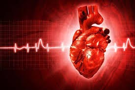 قلب در طول عمر انسان چند بشکه خون پمپاژ می‌کند؟