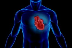 درد در کدام قسمت‌های بدن نشانه بیماری‌ قلبی است؟