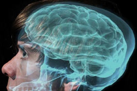 پیش بینی رفتار آینده با تصویربرداری مغزی