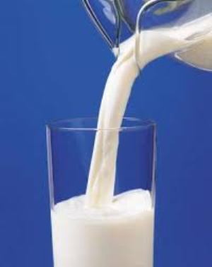 مصرف شیر مغز را جوان نگه می دارد