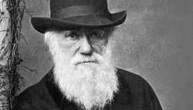 داروین، پدر نظریه تکامل نیست!