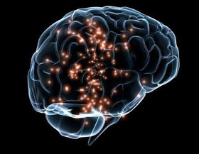 مشاهده منطقه خودخواهی در مغز