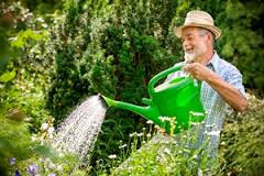 باغبانی کنید تا حالتان بهتر شود