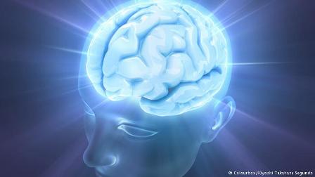 ارتباط برخی خصوصیات مردان با حجم ماده خاکستری مغز