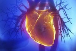 ارتباط بیماری‌های قلب و عروق با ژنتیک