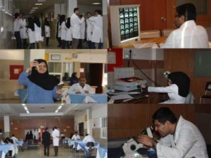 جذب 1200 هیات علمی در وزارت بهداشت تا پایان سال جاری