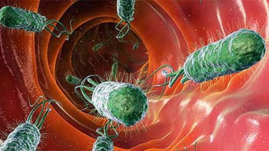 تقابل بین انسان و باکتری به مراحل خطرناک‌تری نزدیک می‌شود