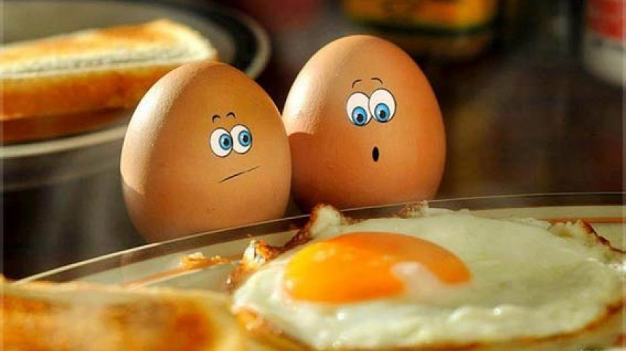 اگر روزی ۲ عدد تخم‌مرغ بخورید چه اتفاقی در بدنتان می‌افتد