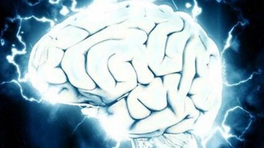 ارتباط بین قد و هوش ناشی از اندازه مغز است