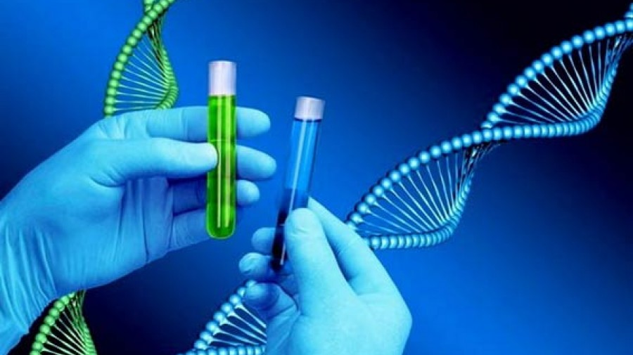 کشف 148 ژن‌ موثر در هوش افراد