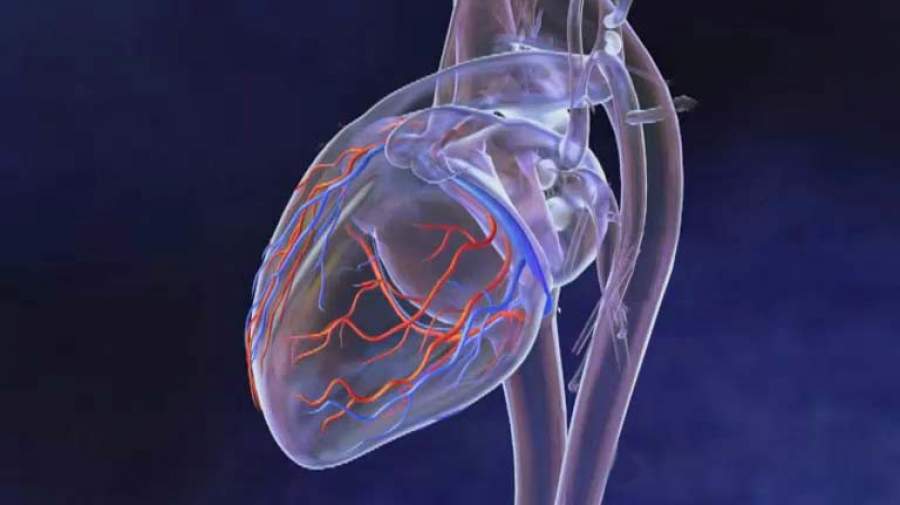 آنژیو گرافی برای تشخیص گرفتگی رگهای قلب