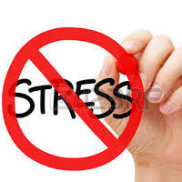 استرس، مغز را کوچک می‌کند