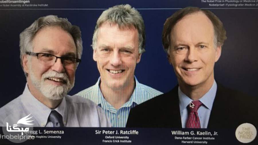 برندگان جایزه نوبل پزشکی ۲۰۱۹ معرفی شدند