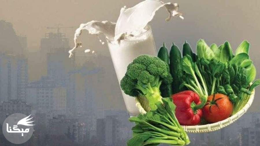 مقابله غذایی با آلودگی هوا