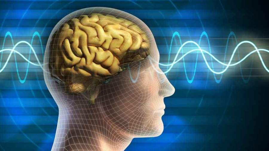 شناسایی شبکه‌های عامل تشدید خطر خودکشی در مغز