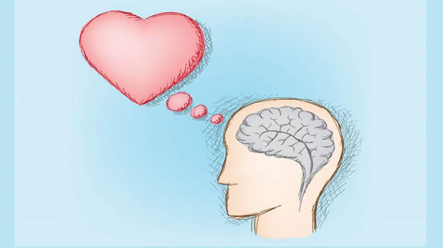 رابطه جالب مغز با قلب سالم!