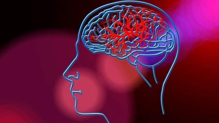 مغز افراد مبتلا به شیزوفرنی، چه تفاوتی با مغز افراد سالم دارد؟