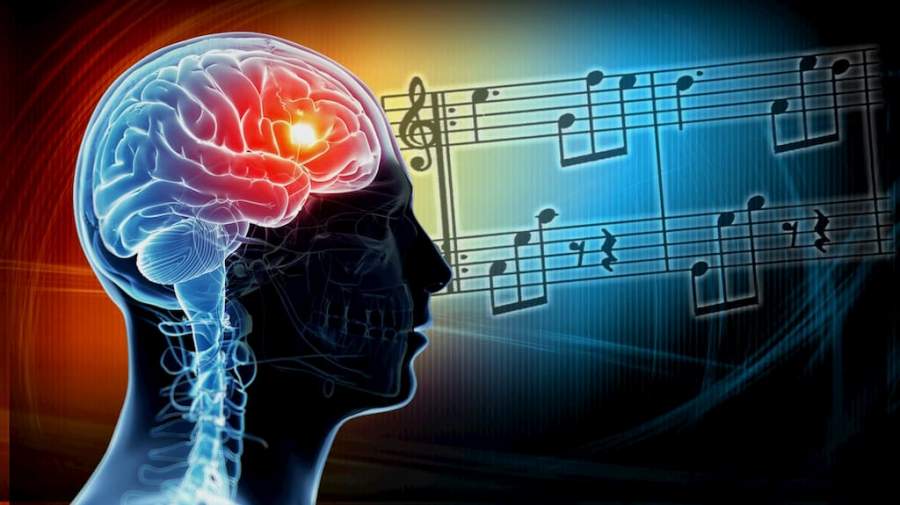 واکنش سلول‌های لوب گیجگاهی مغز در مواجهه با موسیقی