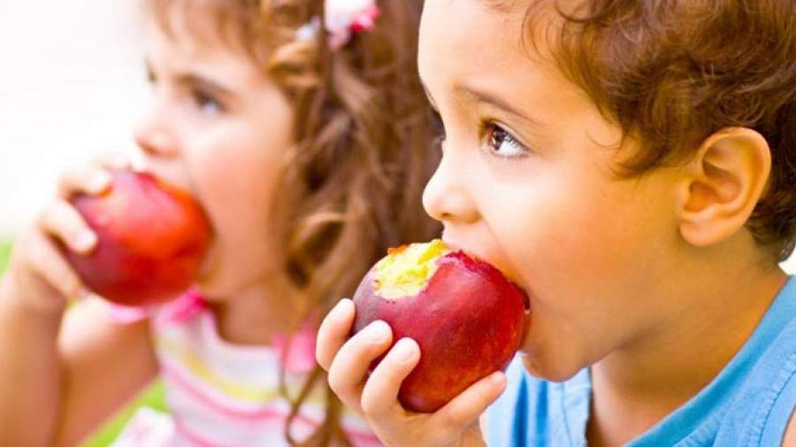 خوراکی ها و غذاهایی که هوش کودک را افزایش می‌دهند