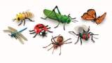 چرا دنیا بدون حشرات، به پایان می‌رسد؟