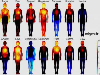 ترسیم نقشه احساسات بدن توسط محققان