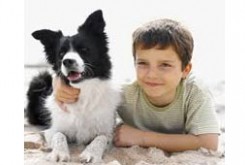درمان بیماری های عصبی با کمک سگ ها