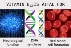 ویتامین B12 چه خصوصیاتی دارد؟