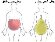 تأثیر چاقی گلابی شکل زنان در کاهش حافظه