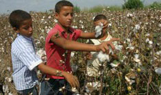 گزارش جدید سازمان جهانی کار با موضوع "کودکان کار" منتشر شد