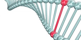 دانشمندان خواستار مجوز برای اصلاح ژن‌های جنین انسان شدند