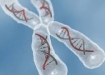 راز علمی کروموزوم‌های XY و XX