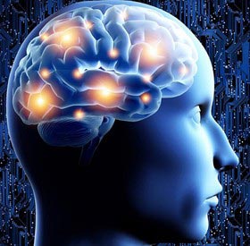 ظرفیت ذخیره‌سازی اطلاعات مغز 10 برابر تصورات پیشین