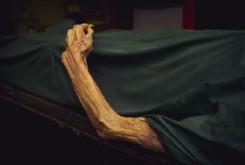 بعد از مرگ چه اتفاقاتی برای جسد ما خواهد افتاد؟