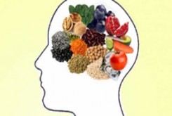 مغز بدون این مواد غذایی فلج می شود!