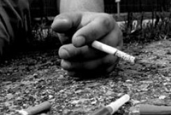 مرگ روزانه10ایرانی براثراستعمال مواد مخدر
