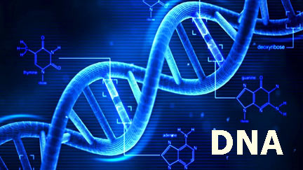 آزمایش DNA چگونه انجام می شود؟