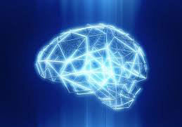 مغز انسان ساختار ۱۱ بعدی دارد
