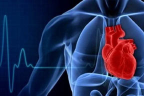 پروتئین از حمله قلبی محافظت می کند