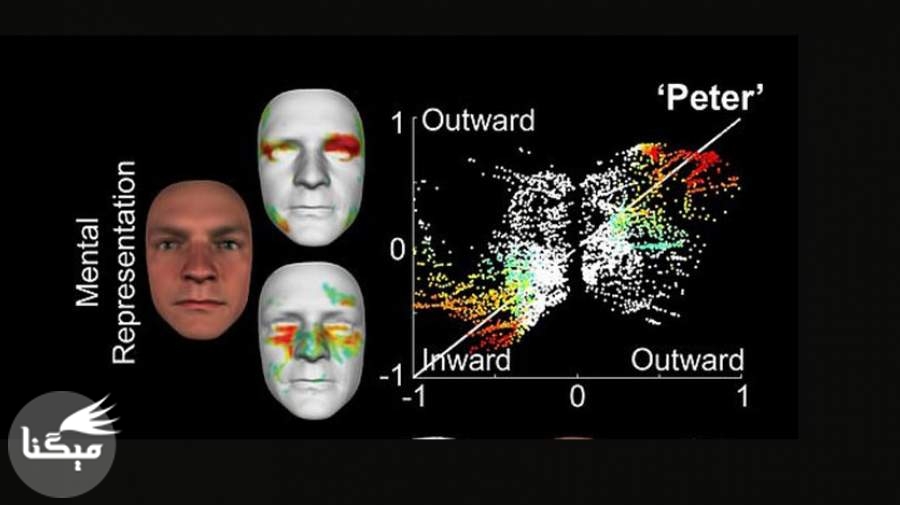 هک مغز انسان برای بازسازی چهره افراد بر مبنای تصور شخصی
