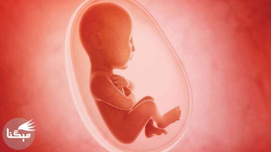 چگونه با سوگ سقط مکرر جنین کنار بیاییم؟