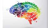 مغز یک فرد حرفه ای با مغز یک تازه کار تفاوت دارد
