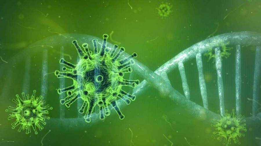 کشف نشانه اصلی ابتلا به ویروس کرونا