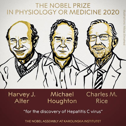 دستاورد برندگان نوبل پزشکی ۲۰۲۰ دقیقا چه بوده است؟