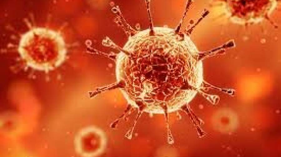 بررسی چگونگی بومی شدن کروناویروس