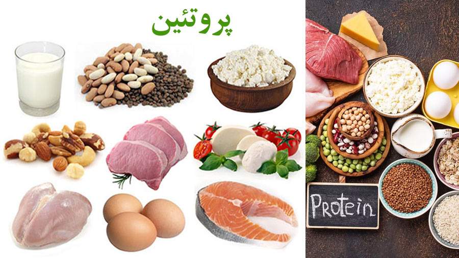 پروتئین، اصلی‌ترین فاکتور رژیم غذایی