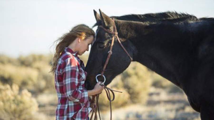 رفع افسردگی با "اسب درمانی"