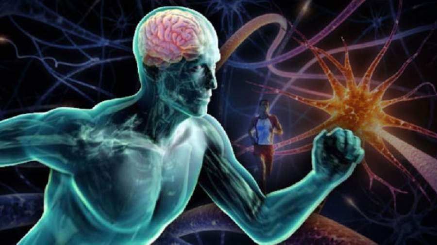 خطر آلزایمر و التهاب مغز را با ورزش کردن برطرف کنید!